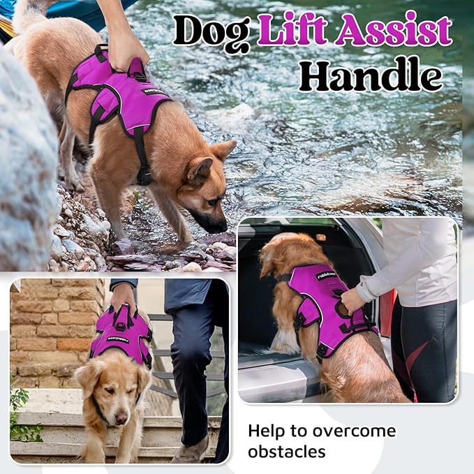 rabbitgoo Escape Proof Dog Harness, Soft Padded Full Body Pet Harness, Reflective Adjustable No Pull Vest with Lift Handle and Lesh Clip for Large Dogs Walking Hiking Training, L, Purple