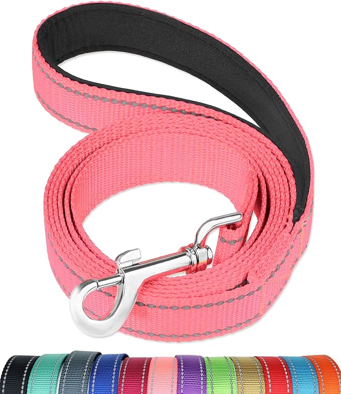 FunTags 4FT Reflective Dog Leash with Soft Padded Handle for Training,Walking Lead for Medium & Small Dogs,3/4 Inch Wide,Neon Pink