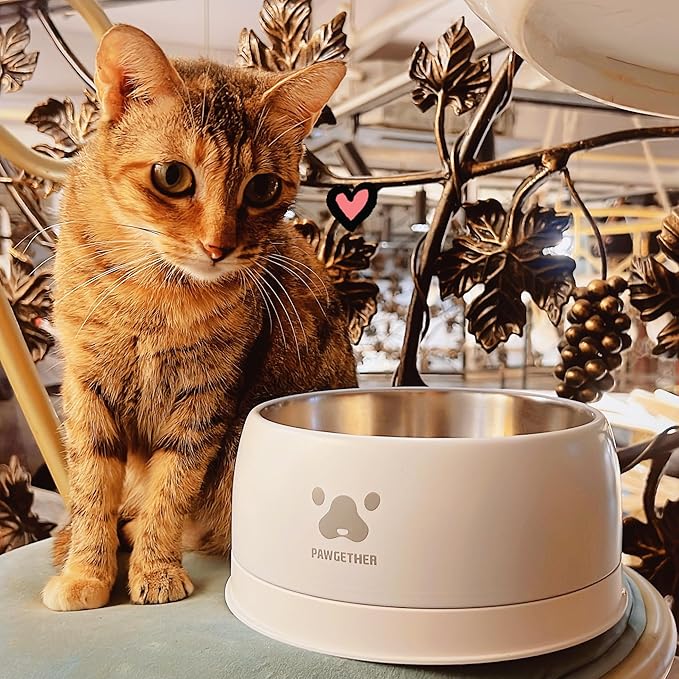 PAWGETHER® Stainless Steel Dog Bowls, Dog Food Water Bowl with Non-Slip Base Two-Piece Design Easy Clean Dishwasher Safe Navy Blue 34oz + 12oz