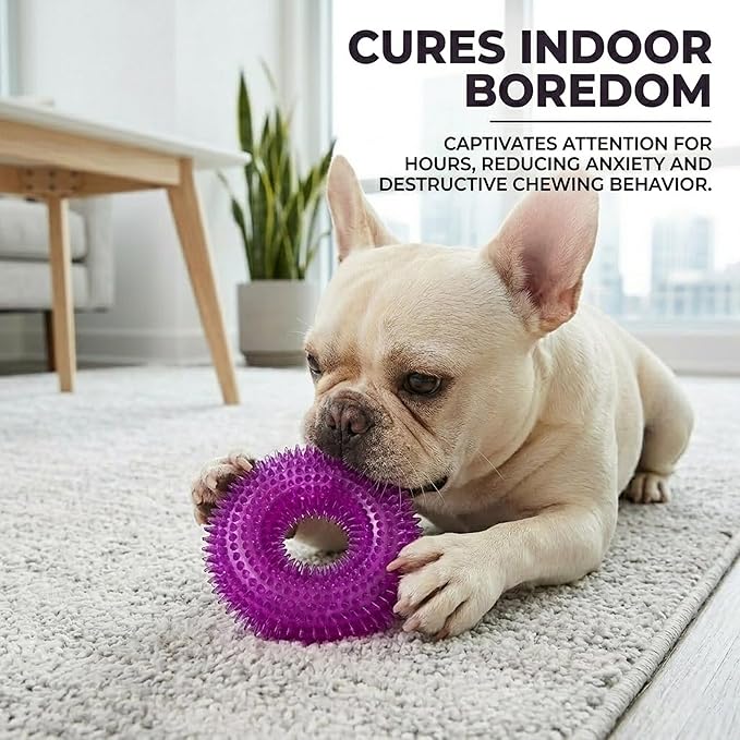 ADUCK Dog Squeaky Chew Toys for Aggressive Chewers, Small Medium Large Dogs Teeth Cleaning Soft Natural Rubber Float Toy for Indoor Outdoor Water Pool, Donut Ring Design 4.92 inch, Crystal Purple