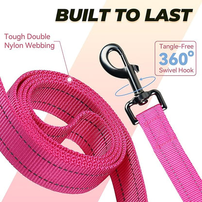 VIVAGLORY Dog Leash Twingrip Double Handle Dog Leash with Traffic Handle Control & 2 Loop for Walking & Training, Reflective Heavy Duty for Puppy Pet Collar, 5ft x 1in, Pink