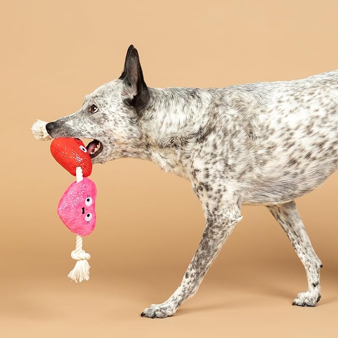 Fringe Studio Plush Dog Toy with Rope, CAN’T BE AP-Heart, Petshop Collection (314494)