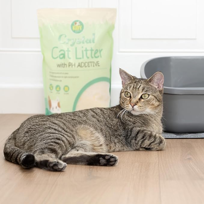 Kitty City pH Detecting Crystal Cat Litter, Silica Gel Crystals for Odor Control, Low Dust & Unscented, Health Monitoring Cat Litter, 6 lb