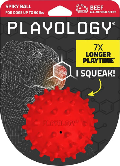Playology Dog Toys | Spiky Chew Ball for Medium Dogs | Beef Scented Toy for Tough Chewers - Easy to Clean and Made from Non Toxic Materials