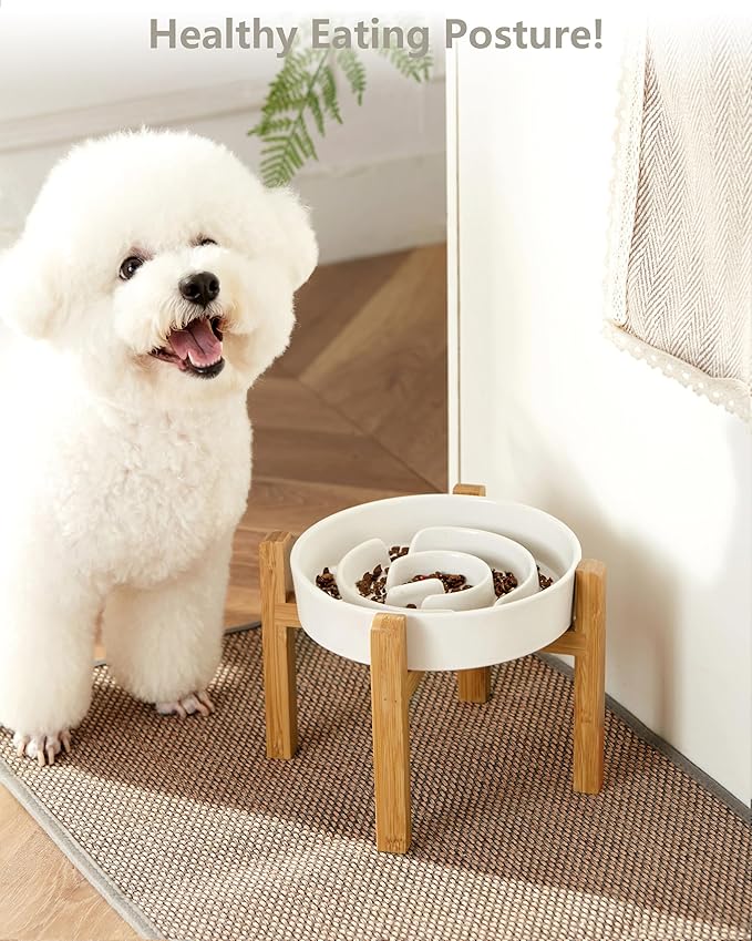 Ceramic Slow Feeder Dog Bowls Elevated, 2.0 Cups Slow Feeder for Medium Dogs, Puzzle Maze Bowl to Slow Down Eating, 30oz, 8in, White