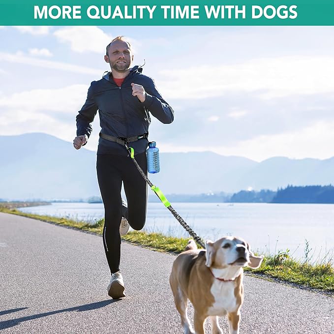 PetAmi Hands-Free Dog Leash for Walking, Running & Hiking, Heavy Duty Bungee Waist Leash with Dual Padded Handles, Adjustable Reflective Belt for Small, Medium & Large Dogs up to 150 lbs, Green