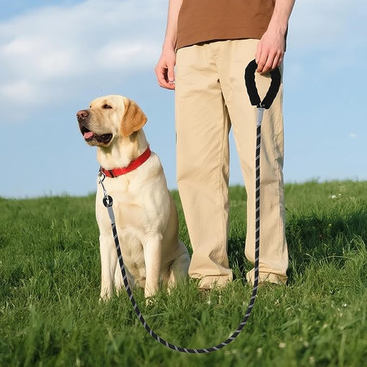 Mile High Life Reflective Dog Leash, with Comfortable Padded Handle, Black Nylon Rope Leash with Steel Tips, Heavy Duty 4 Feet Pet Leashes (Black,72 Inches)