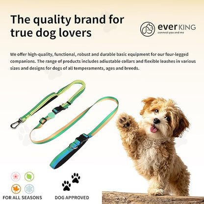 ‌EVERKING 6ft Hands-Free Dog Leash - 6-in-1 Adjustable with 360° Rotating Buckle, Night Reflective & Shock Absorbing for Large/Small Dogs (Up to 120lbs) (Green)