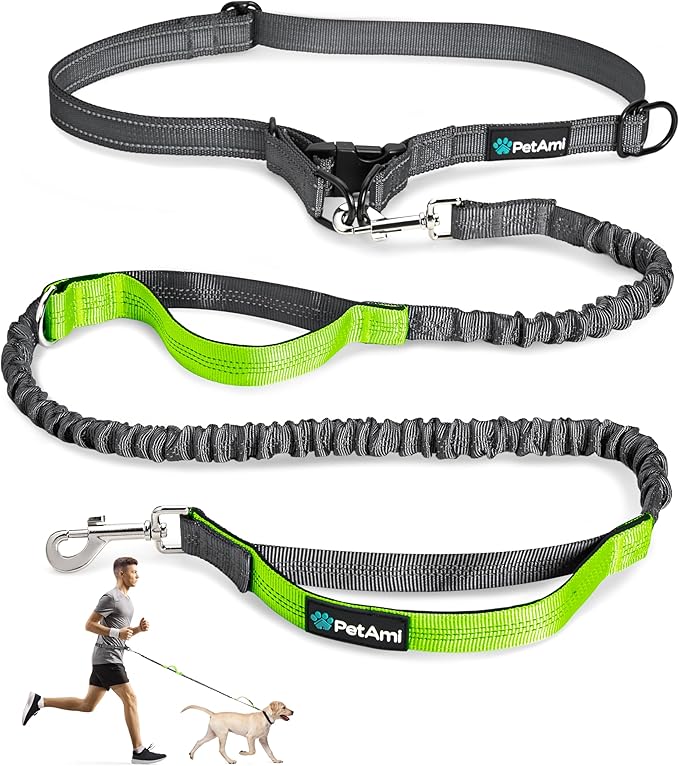 PetAmi Hands-Free Dog Leash for Walking, Running & Hiking, Heavy Duty Bungee Waist Leash with Dual Padded Handles, Adjustable Reflective Belt for Small, Medium & Large Dogs up to 150 lbs, Green