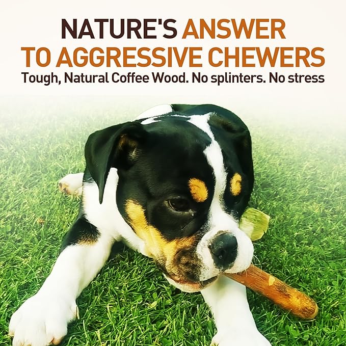 Wildfang® Olive Wood Chewing Sticks for Dogs, Medium - Tough Chew Toys for Aggressive Chewers, Puppy Chew Toys for Teething, Training for Chewing Muscles, Olive Wood Stick for Dog (33-55lbs)