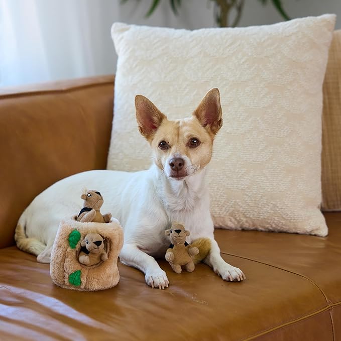 Outward Hound Squeakin’ Squirrels – 3‑Pack Plush Squeaky Dog Toys for Puppies, Small Dogs & Hide-A-Squirrel Replacements