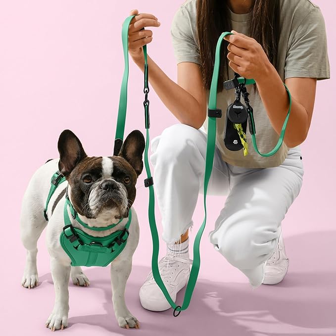 WLK1006K-5SET Luna Large 8FT Adjustable 6-in-1 Waterproof Hands-Free Leash and Collar with LED Flashlight, Bag Dispenser, and Poop Bag Holder, Julep