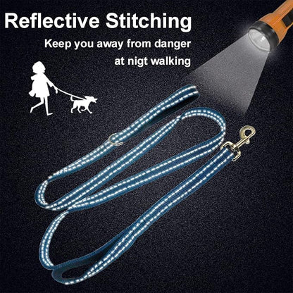 Dual Padded Handle Walking and Training Standard Leashes for Large Dogs with Reflective Stitching, 360° Rotatable Heavy Duty Metal Buckle, D-Ring, Durable Nylon, 6Ft Long 1" Wide