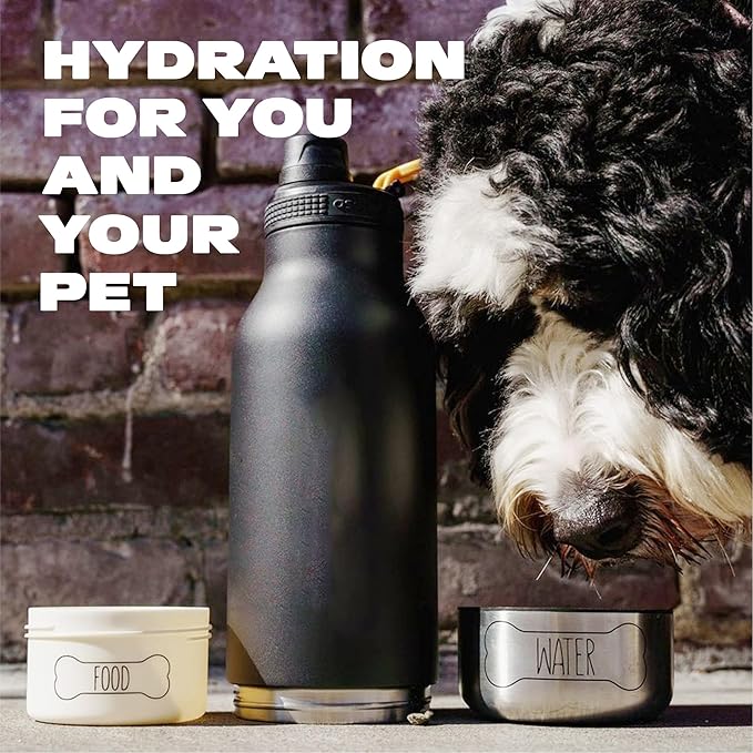 asobu Buddy Bottle a Stainless Steel Insulated Water Bottle for with Removable Dog Water Bowl and Dog Food and Treat Storage Bowl (Pastel Green, 34 Oz)