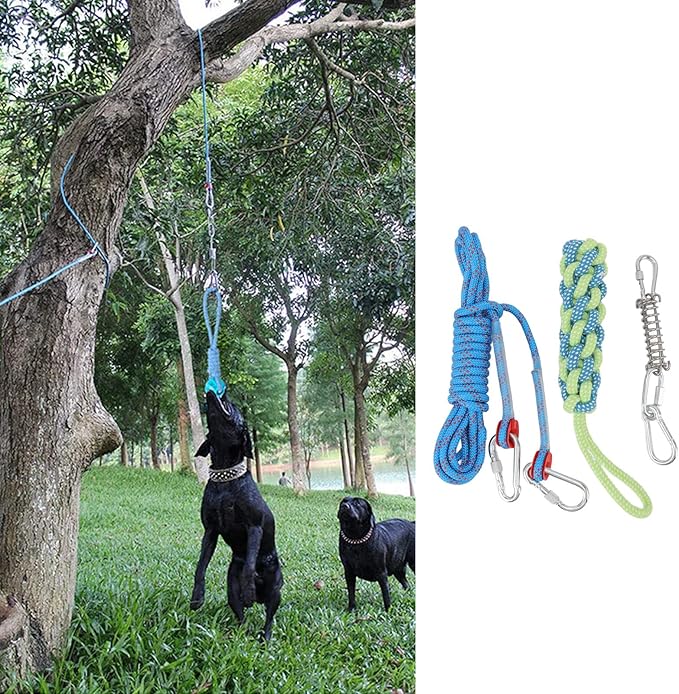 Asixxsix Spring Pole Dog Rope Toy, 16.4ft Stainless Steel Rustproof Outdoor Bungee Hanging Toy and Muscle Builder Interactive Dog Tug Toy for Small Medium Large Dogs