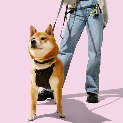 WLK1005I-5SET Luna Medium 8FT Adjustable 6-in-1 Waterproof Hands-Free Leash and Collar with LED Flashlight, Bag Dispenser, and Poop Bag Holder, Bitters