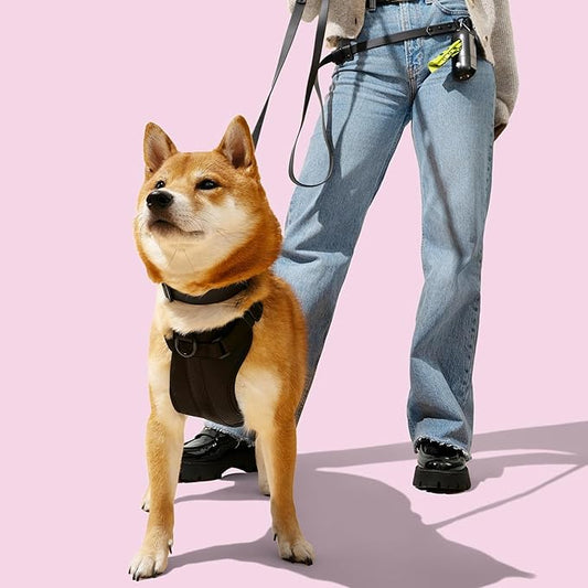 WLK1005I-5SET Luna Medium 8FT Adjustable 6-in-1 Waterproof Hands-Free Leash and Collar with LED Flashlight, Bag Dispenser, and Poop Bag Holder, Bitters