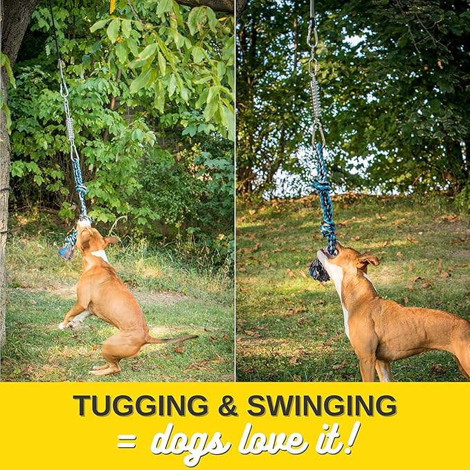 YES4QUALITY Flirt Pole for Dogs, 2 Durable Spring Poles with Strong Dog Rope Toy, Heavy Duty Lure Pole for Dogs of Any Size, Dog Toy for Fun Obedience Training & Exercise, Pull & Tug of War Toy