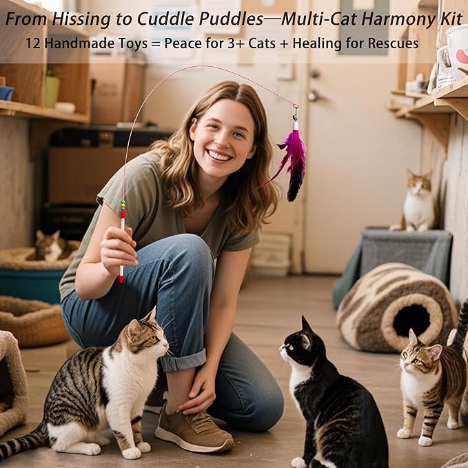 12Pcs Cat Wand Toy - 2 Cat Toy Stick Wand 10 Replacement Teasers with Bells, Interactive Feather Toy for Indoor Cats, Worm Cat Toy Teaser for Bored Adult Cats Kittens Play Chase Exercise
