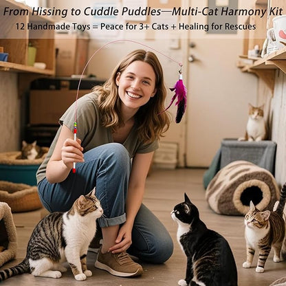 12Pcs Cat Wand Toy - 2 Cat Toy Stick Wand 10 Replacement Teasers with Bells, Interactive Feather Toy for Indoor Cats, Worm Cat Toy Teaser for Bored Adult Cats Kittens Play Chase Exercise