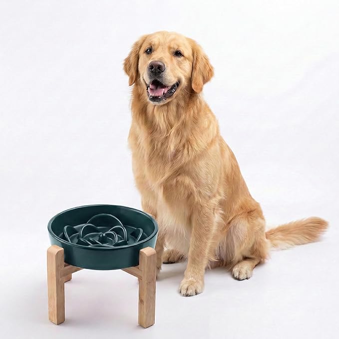 Petygooing 8.66 in Dog Bowl Ceramic Slow Feeder for Medium Large Dogs,Elevated/Raised Slow Feeding Dog Food Water Dish Heavy Weighted,Puzzle Eating Bowl Modern Maze (Green, 8.66in)