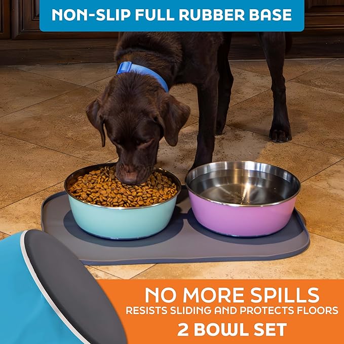 Master Pet Supply Stainless Steel Dog Bowls Set of 2 (128 Oz Each) with Non-Slip Rubber Base - True Blue - Basic Dog Food Bowl Water & Food Bowls for Small Medium Large Dogs & Cats, Metal Dish