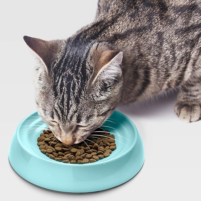 CatGuru Cat Bowls, Whisker Friendly Food Bowl for Indoor Cats, Reliefs Whisker Fatigue, Wide Kitten Dish, Non Slip Pet Dishes, Shallow Pet Plates (Aruba)