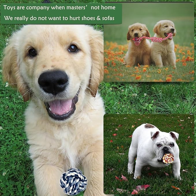 Small Dog Rope Toys, 15 Pack Puppy Rope Toy Set for Small Breeds 0-22 lbs, Various Tug Toys for Teething, Entertainment & Interaction