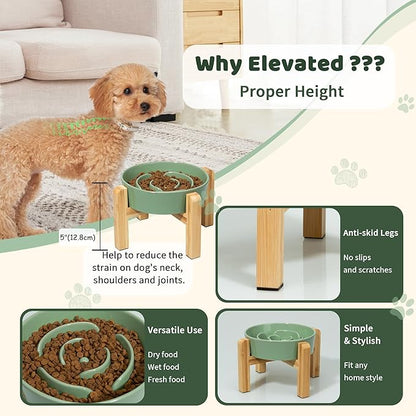 Elevated Slow Feeder Dog Bowl - Ceramic Maze Food Dish with Bamboo Stand - Raised Feeding Bowl for Fast Eaters - Ideal for Small and Medium Dogs - Green - 6.7 inch
