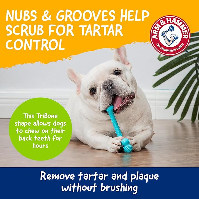 Arm & Hammer Nubbies T-Bone Dental Dog Chew Toy with Peanut Butter Flavor, Textured Chew Toy Designed to Help Clean Teeth and Support Oral Care for Dogs Up to 35 lbs - 2 Pack