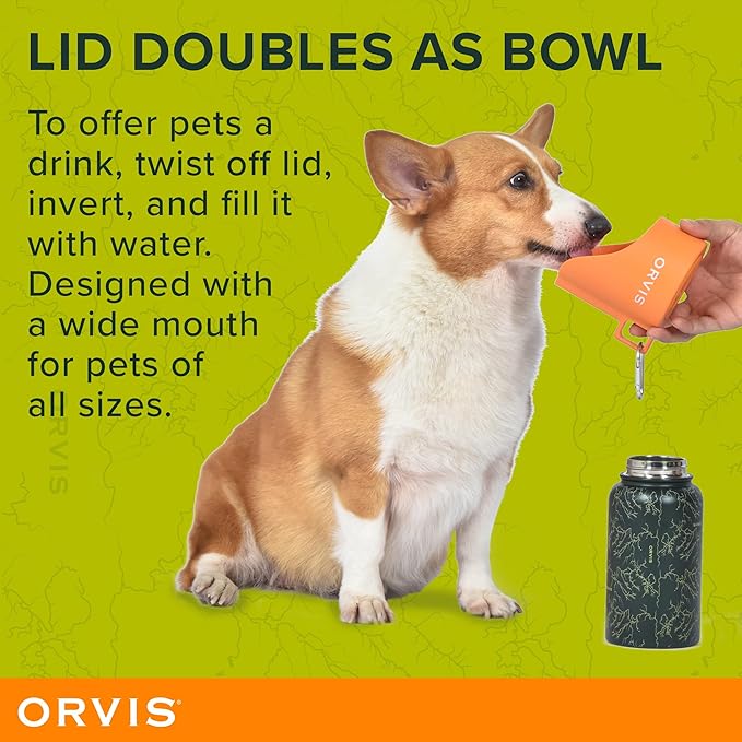 Orvis Dog Travel Water Bottle, 25oz Capacity | Portable Pet Waterer with Built-in Bowl | Stainless Steel, High Visibility Orange Lid