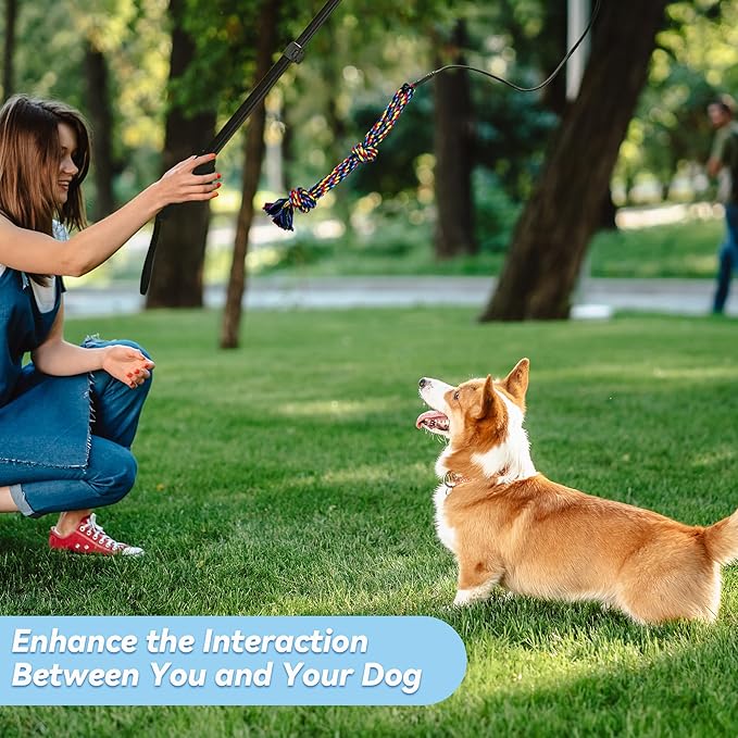 Flirt Pole for Dogs, Interactive Toys Tug-of-war for Dogs, Four-Section Retractable Adjustable Length, Chase Toys with Rope Chewing Sticks, for Outdoor Exercise & Training