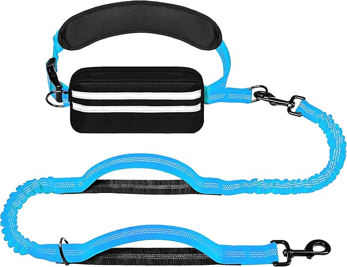 Hands Free Dog Leash with Zipper Pouch, Running Waist Leash for Dog Walking, Adjustable Waist Belt for Large Dogs, Reflective Bungee Design with Two Handle for Hiking, Training, Sky Blue