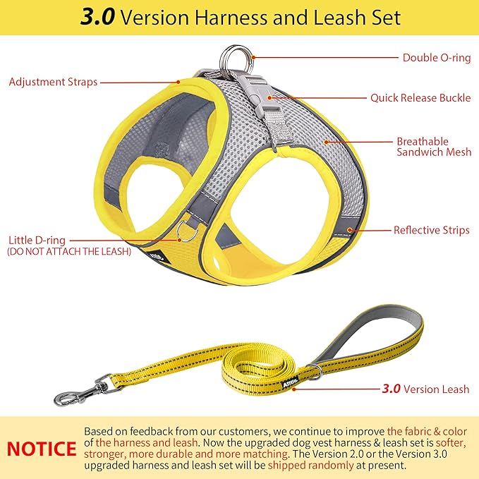 AIITLE Comfortable Dog Harness and Leash Set for Walking - Spring Step in Vest Harness,Reflective Bands, Adjustable No Pull Puppy Essentials, for Small Dogs and House Cats Yellow XS