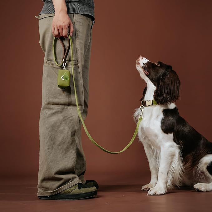 Didog Classic Dog Poop Bag Holder, Easy-Pull and Elegant PU Leather Pet Waste Bag Dispenser for Leash with Carabiner Clip, Includes 1 Roll Dog Waste Bag for Daily Walking,Olive Green