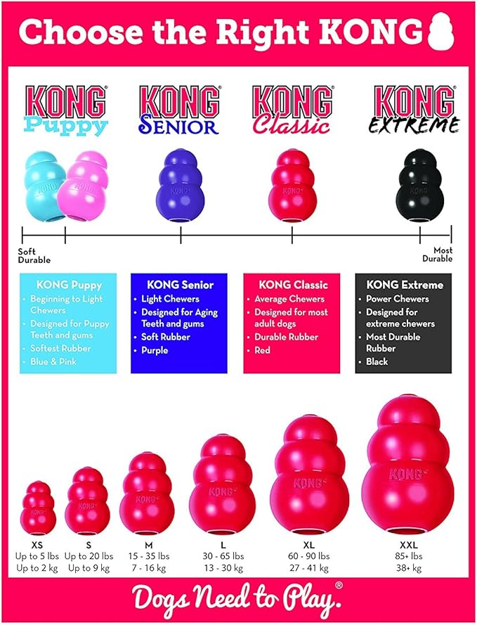 2 Pack Large Kong Classic