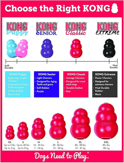 2 Pack Large Kong Classic