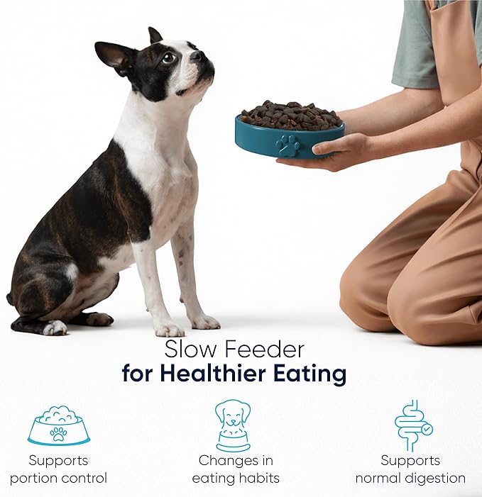 Slow Feeder Dog Bowls – Dog Bowl Slow Feeder – Microwaveable Dog Slow Feeder for All Breeds – Lead and BPA-Free Ceramic Pet Bowl – Pet Feeder for Fast Eaters