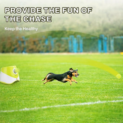 Elevon Tennis Balls for Small and Medium Size Dogs, 2" Mini Tennis Balls for Indoor Outdoor, Compatible with Dog Ball Launcher (12PCS)