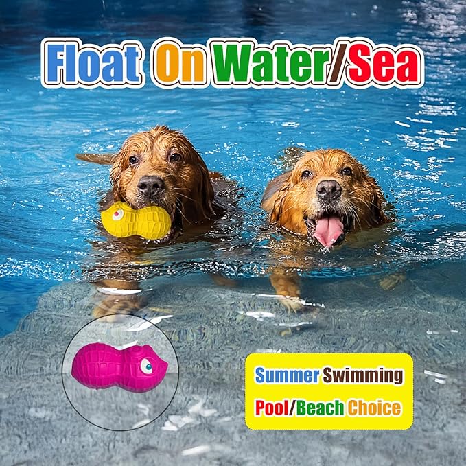 Latex Squeaky Dog Toys for Large Dogs – Natural Latex Dog Squeaky Balls for Dogs Big, Soft Rubber Dog Squeak Toys with Squeaker, Interactive Fun for Indoor & Outdoor Play