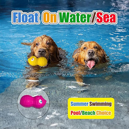 Latex Squeaky Dog Toys for Large Dogs – Natural Latex Dog Squeaky Balls for Dogs Big, Soft Rubber Dog Squeak Toys with Squeaker, Interactive Fun for Indoor & Outdoor Play