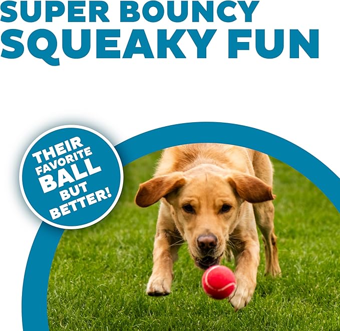 Outward Hound Squeaker Ballz – Squeaky Tennis Balls for Dogs Under 50 lbs, Interactive Dog Toy for Fetch & Training, Medium (2.5"), 4‑Pack