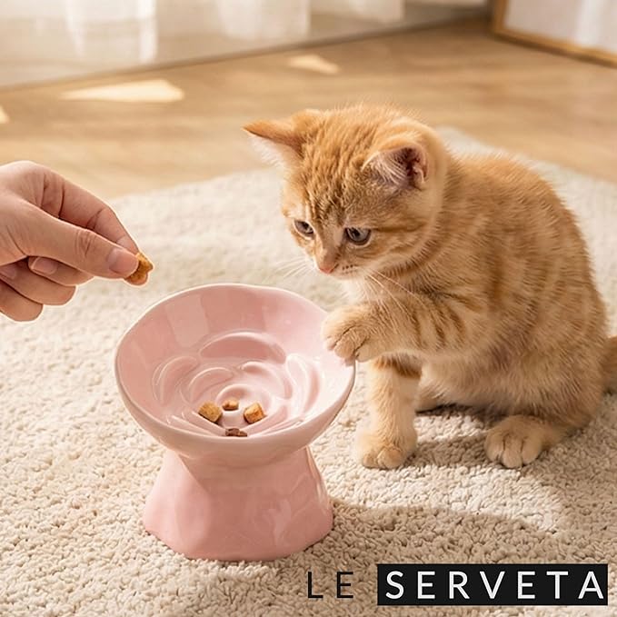 Elevated Ceramic Cat Bowl, Tilted Slow Feeder Pet Dish with Gradient Color Coating, 3.3 Ounces Capacity, Anti-Gulping Design with Rose Bouquet Design (Gradient Pink)