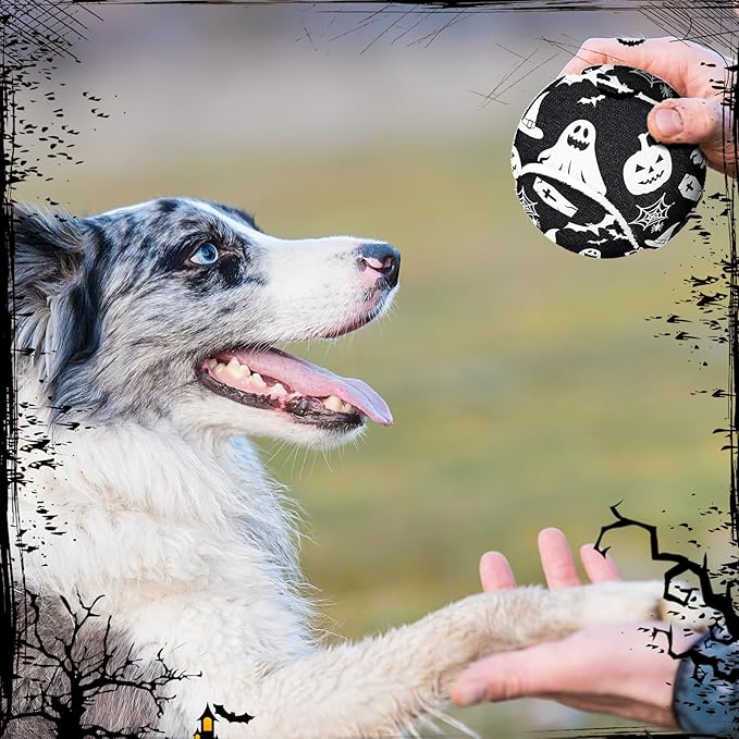 Libima 36 Pcs Halloween Dog Tennis Balls Bulk 2.5 Inches Toy Ball for Small Medium Large Dogs Durable Teething Chew Toys for Aggressive Dogs Exercise Training Catching, 3 Styles(Pumpkin)
