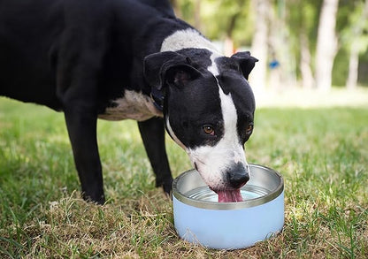 Alpine Set of 2 Stainless Steel Dog Bowls, Non Slip, Metal Pet Bowl for Food and Water, Double Walled Insulated, Rustproof, Dishwasher Safe- 32 Ounces- Sky Blue (AB)