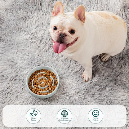vancasso Slow Feeder Dog Bowl, 0.6 Cups Ceramic Dog Food Dish for Fast Eaters Small Breed, Puzzle Bowl for Small Dogs and Cats, Grayish Cyan