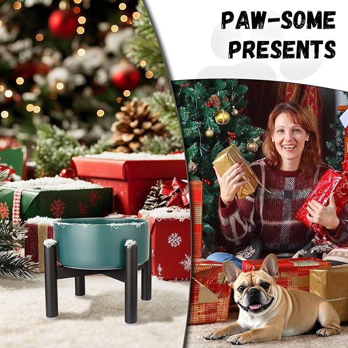 Raised Ceramic Dog Bowl - Elevated Food Water Dish with Stainless Steel Stand - for Small to Medium Dogs - 6 Inch - 2 Cups (28.75 fl oz) - Black