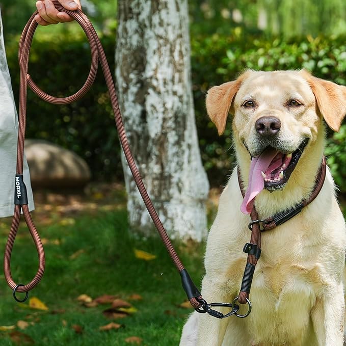 Rope Dog Leash, 6 Foot Heavy Duty Dog Leash with Aviation Aluminum Auto Locking Carabiner, Strong Nylon Pet Lead for Small, Medium, Large Dogs (Yellow, 6FT)