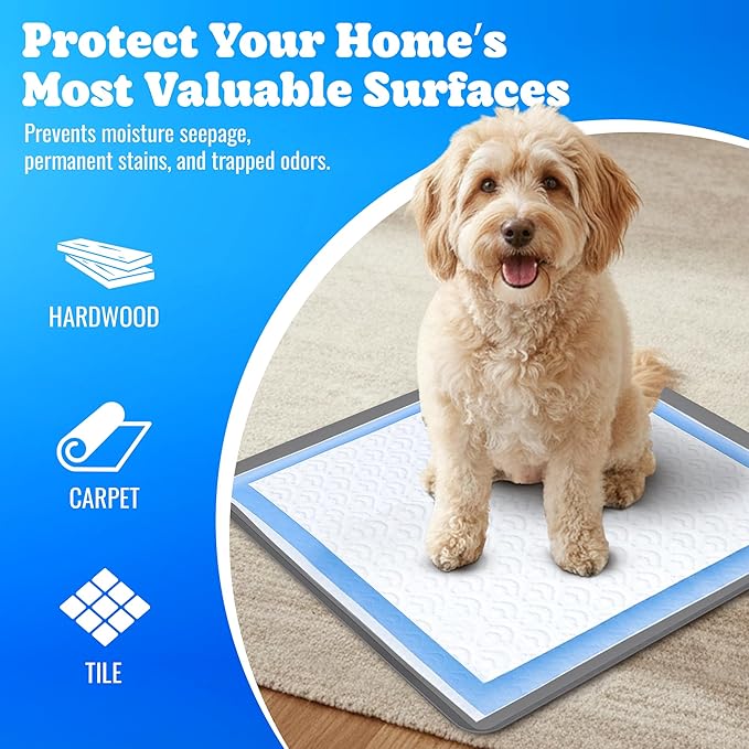 TidyFriend Dog Pee Pad Holder Tray - Fits Up to 24” x 24” Pee Pad Holder for Dogs - Stable Grip, Raised Edges, Quick-Wipe Silicone Surface Dog Pad Holder for Indoor Flooring Protection (Dark Grey)