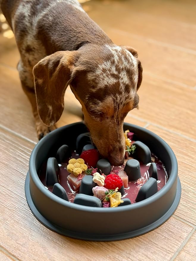Slow Mo Bowl | Slow Feeder Dog Bowl for Fast Eaters, Improves Digestion & Reduces Bloating, Fun Interactive Design, & Dishwasher Safe | Kubi Pets